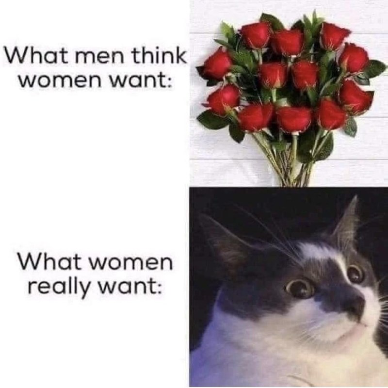 men-think-women-want-women-really-want