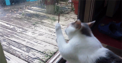 earth-worm-or-mobile-spaghetti