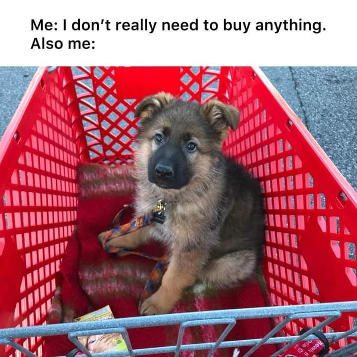 www-dont-really-need-buy-anything-also-10-400