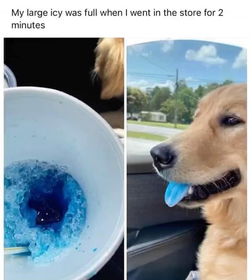 645d84b787615.jpeg