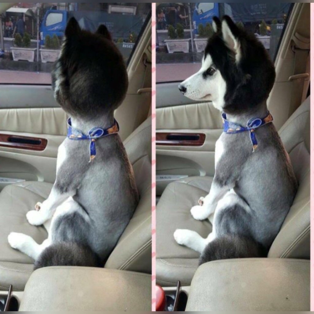 195246-ChGVWQgUcAATHUY.jpg:large