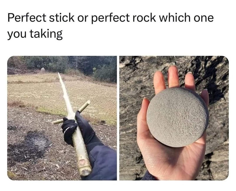 perfect-stick-or-perfect-rock-which-one-taking