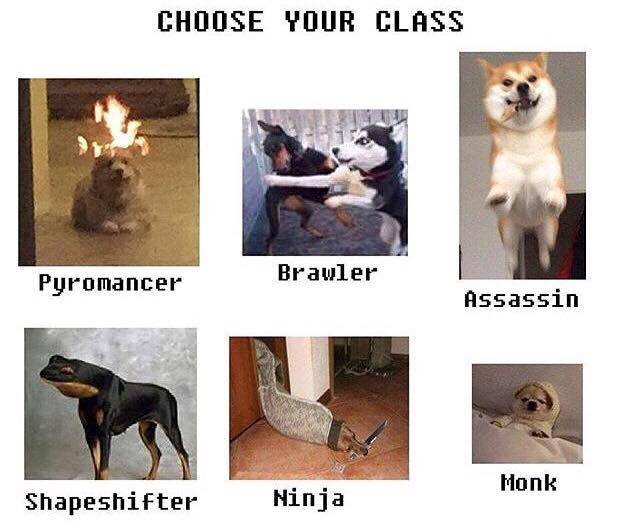 DGPVBXsXkAIddB8.jpg:large