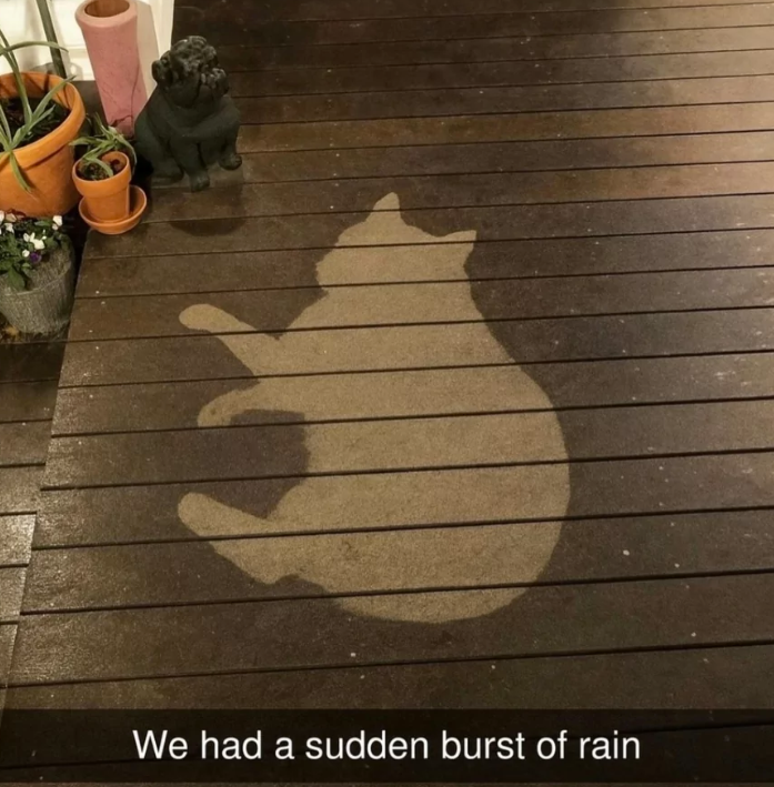 had-sudden-burst-rain