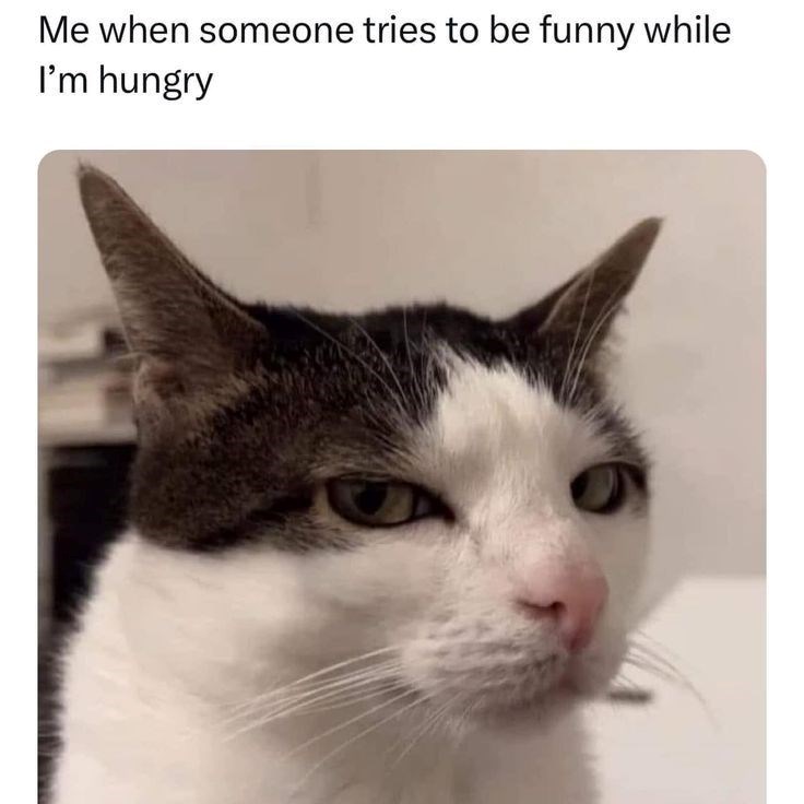 someone-tries-be-funny-while-hungry