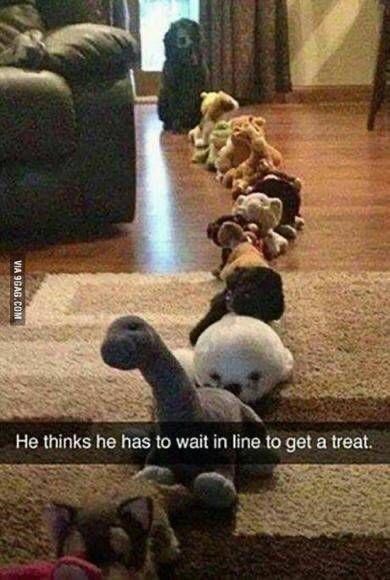 via-9gagcom-he-thinks-he-has-wait-line-get-treat