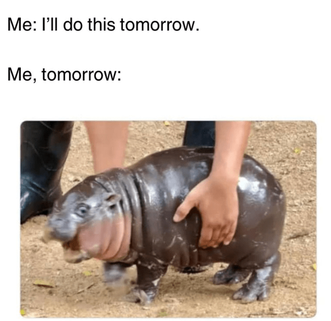 do-this-tomorrow-tomorrow