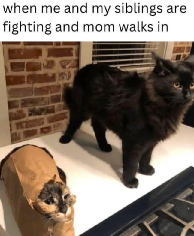 and-my-siblings-are-fighting-and-mom-walks