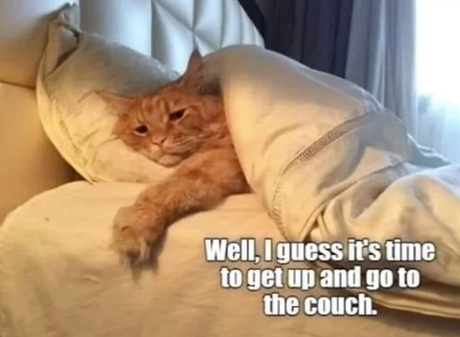 well-guess-s-time-get-up-and-go-couch