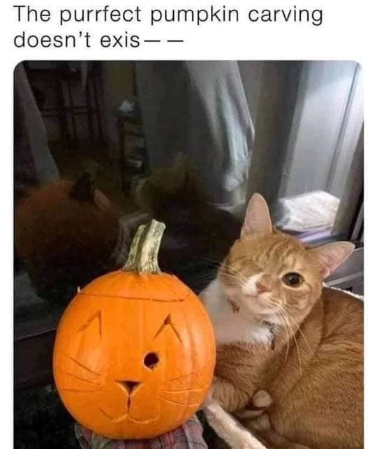 purrfect-pumpkin-carving-doesnt-exis