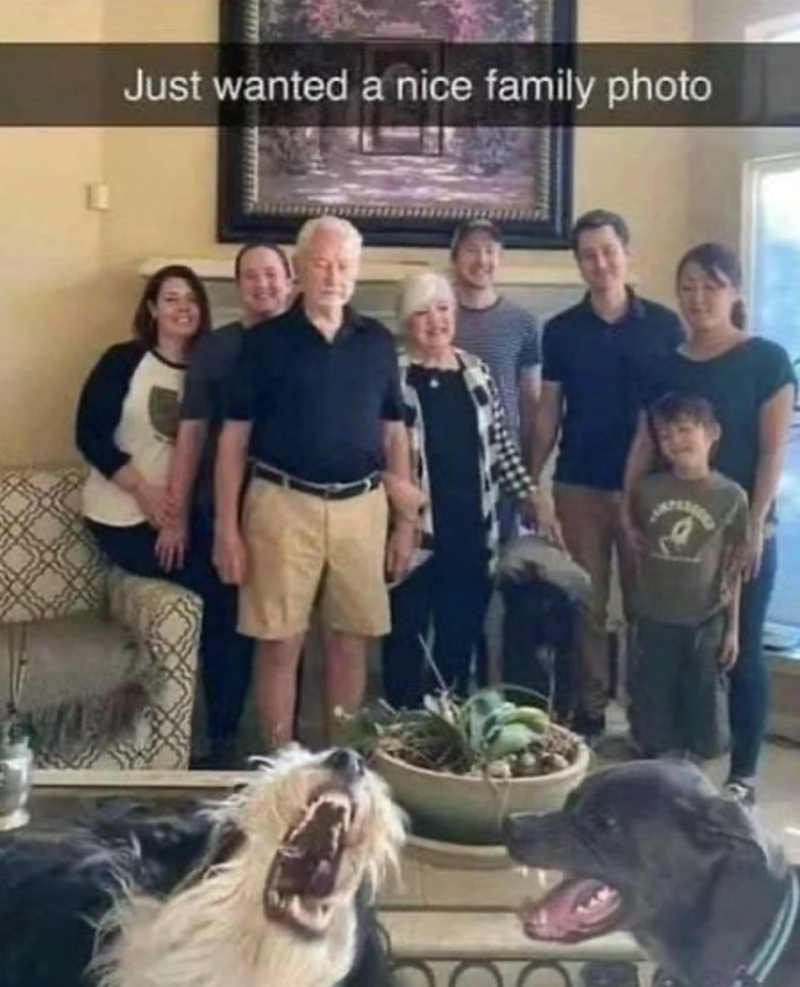 just-wanted-nice-family-photo