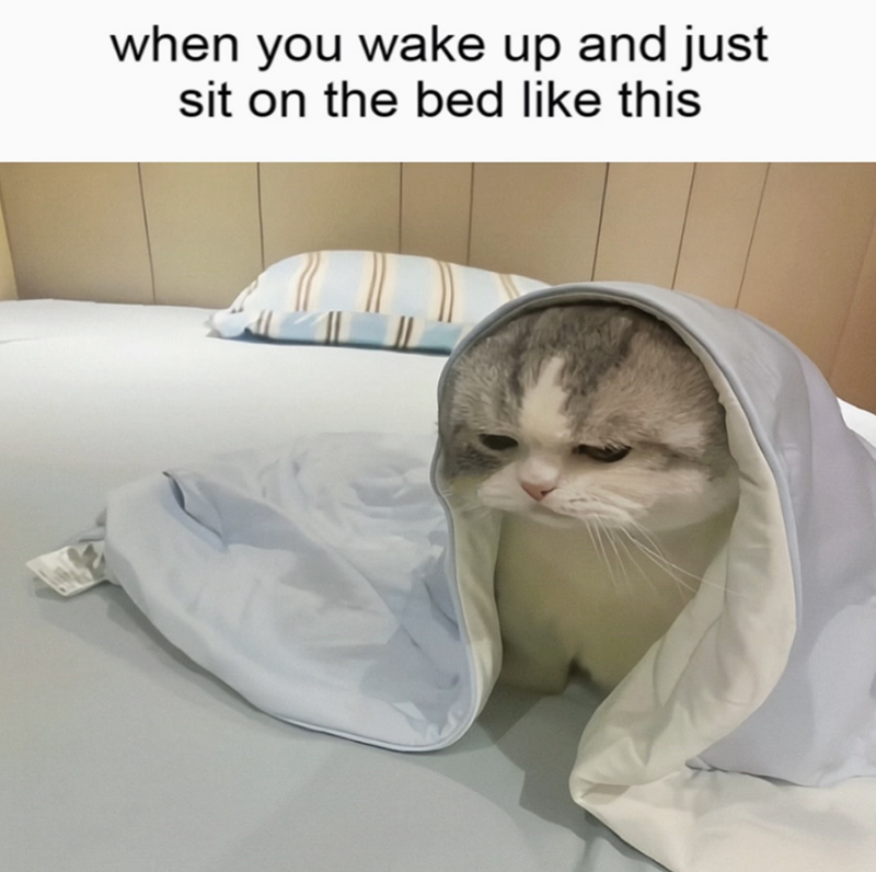 wake-up-and-just-sit-on-bed-like-this
