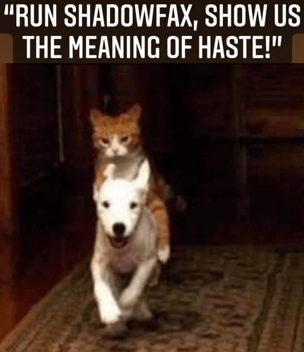 run-shadowfax-show-us-meaning-haste