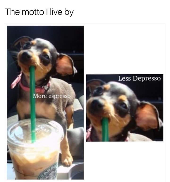 motto-live-by-more-espresso-less-depresso
