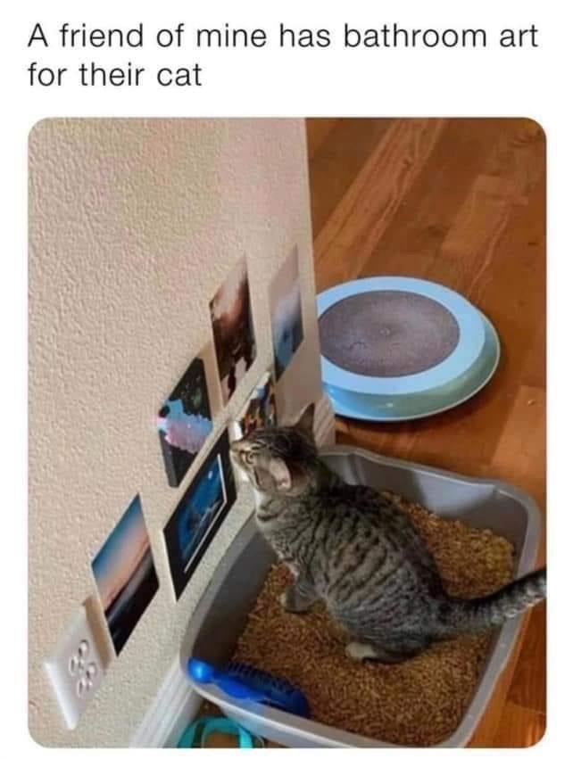 friend-mine-has-bathroom-art-their-cat