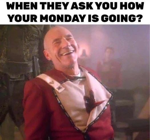 they-ask-monday-is-going
