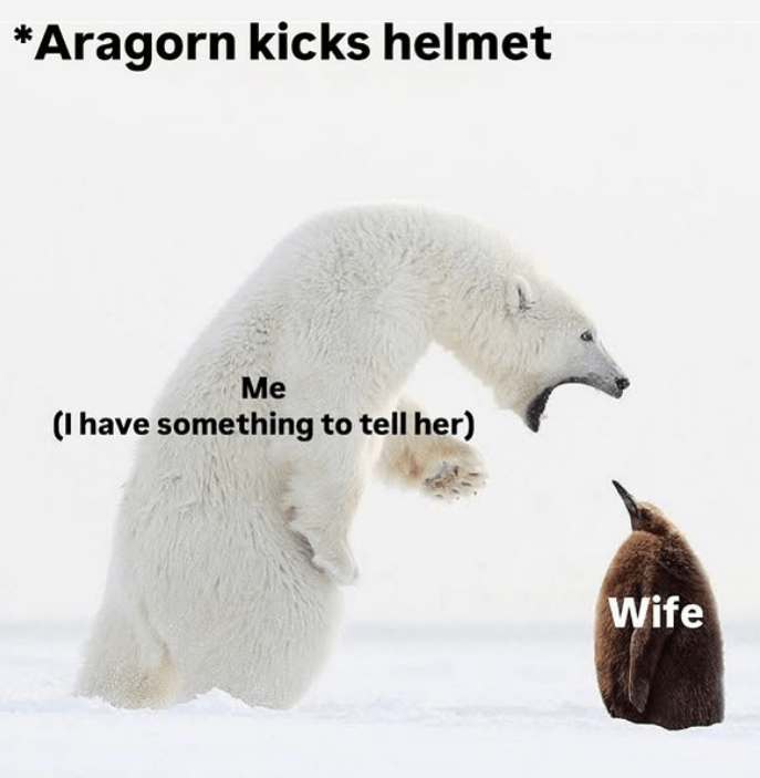 aragorn-kicks-helmet-have-something-tell-her-wife
