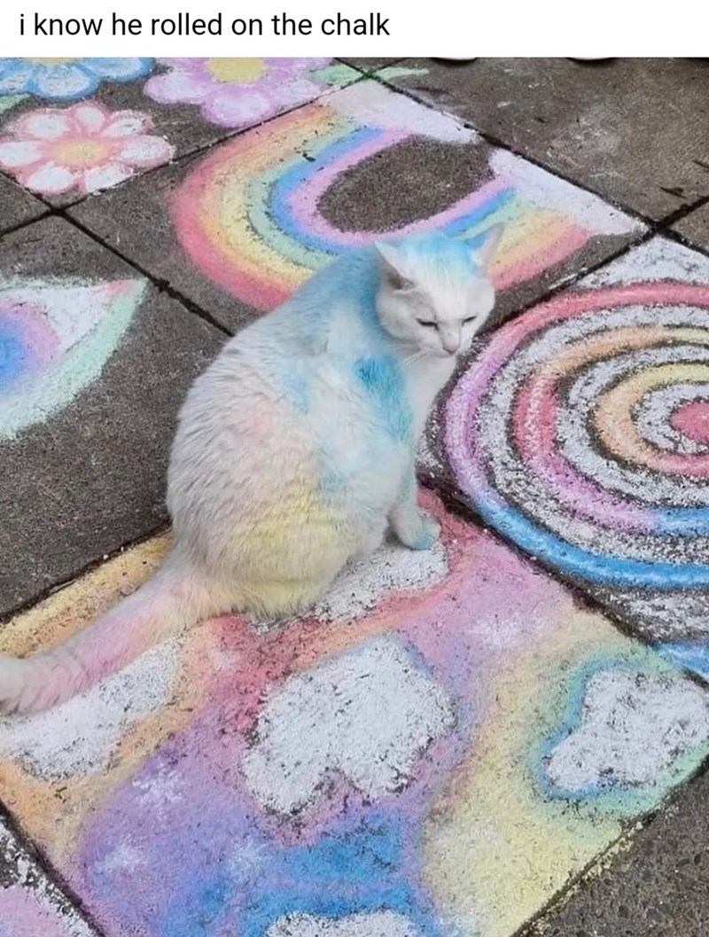 know-he-rolled-on-chalk