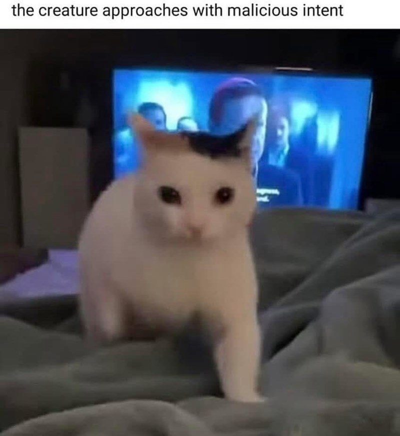 creature-approaches-with-malicious-intent