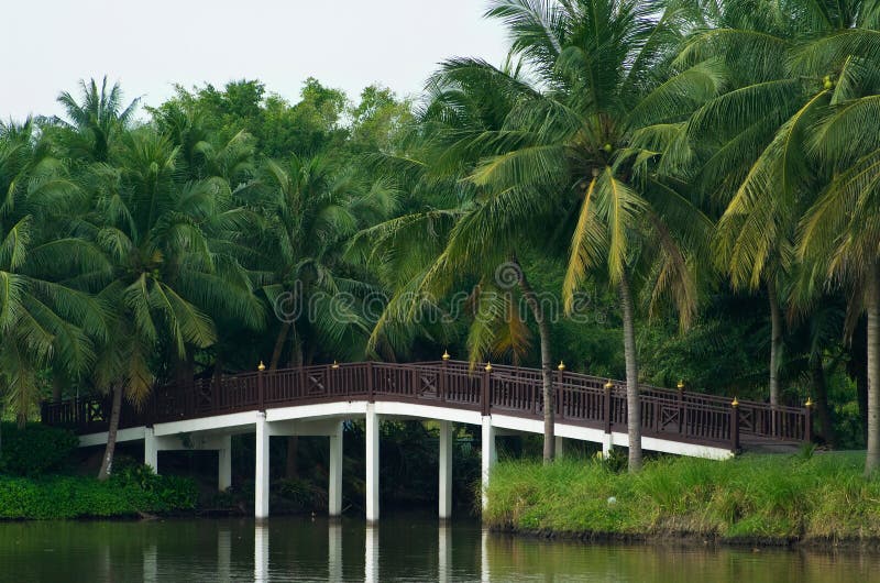 bridge-palm-trees-7567929.jpg
