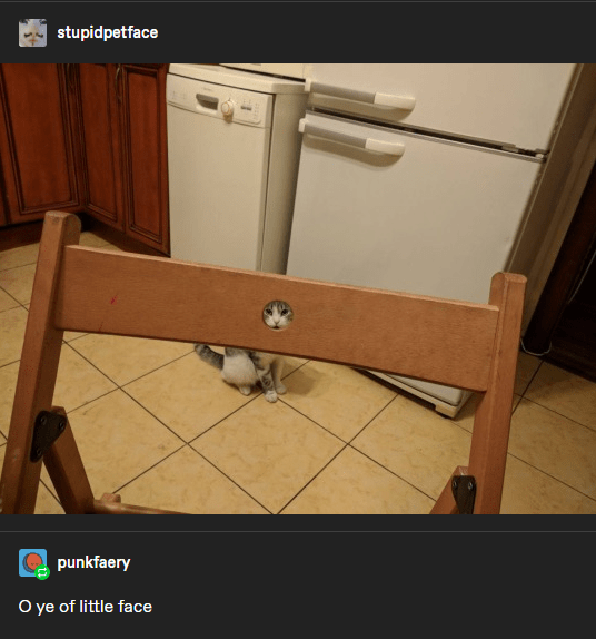 stupidpetface-punkfaery-o-ye-little-face