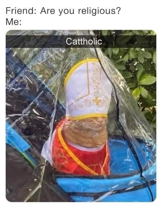 friend-are-religious-cattholic