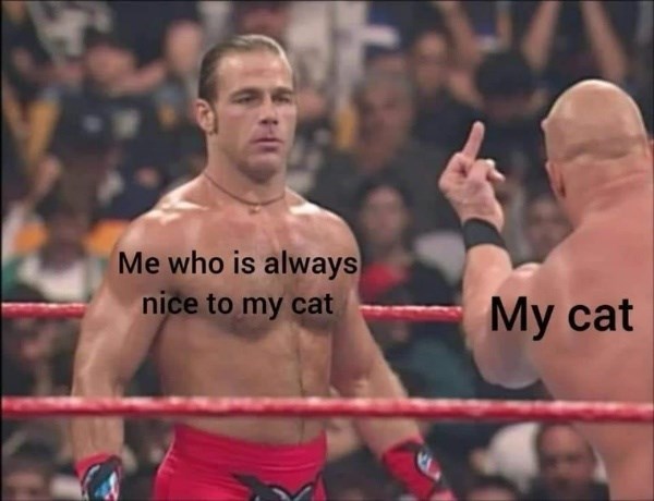 who-is-always-nice-my-cat-my-cat
