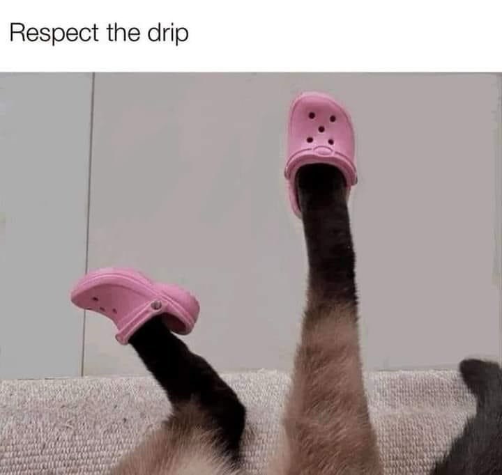 respect-drip