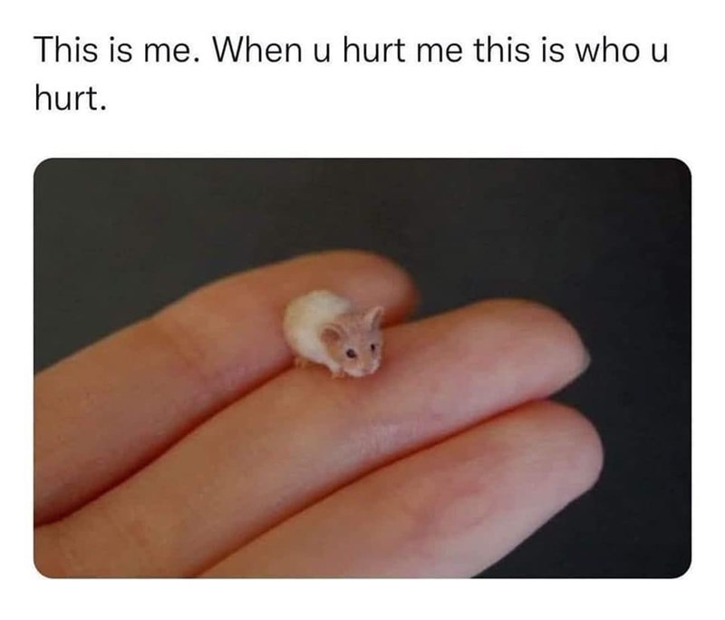 this-is-u-hurt-this-is-who-u-hurt