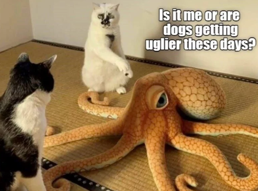 is-or-are-dogs-getting-uglier-these-days