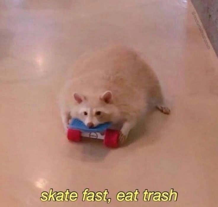 nocturnaltrashposts-skate-fast-eat-trash