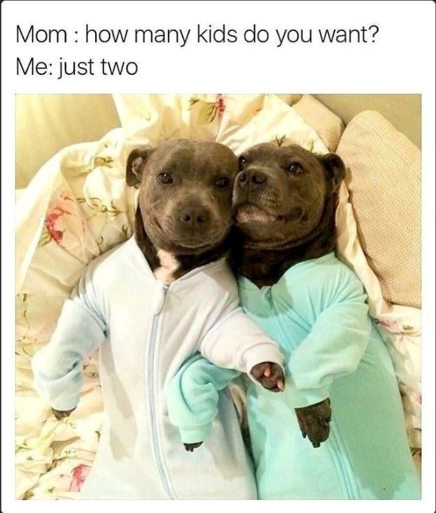 mom-many-kids-do-want-just-two