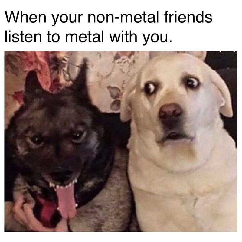 non-metal-friends-listen-metal-with