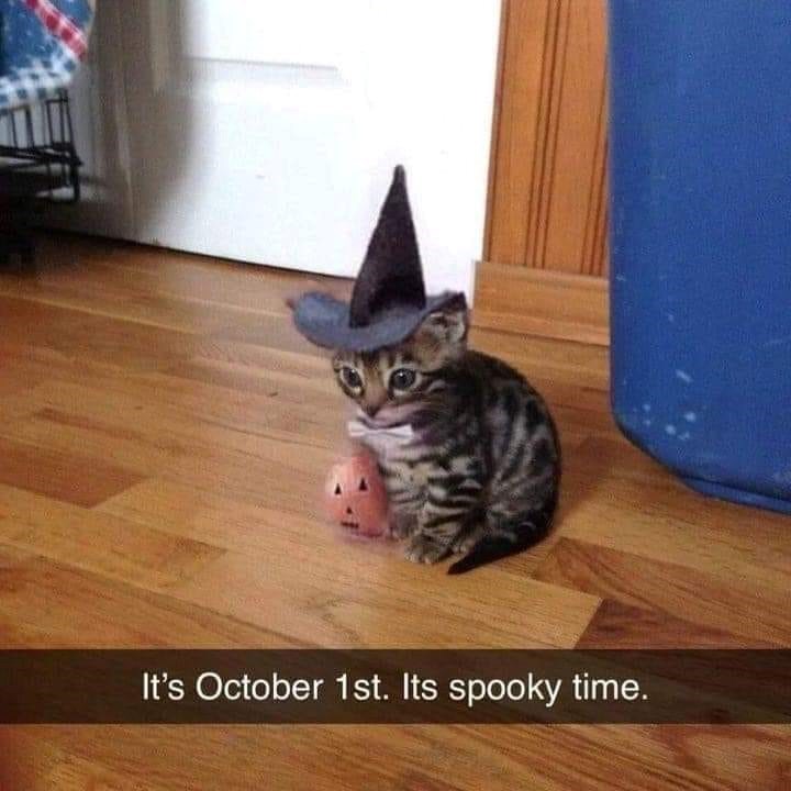 s-october-1st-its-spooky-time