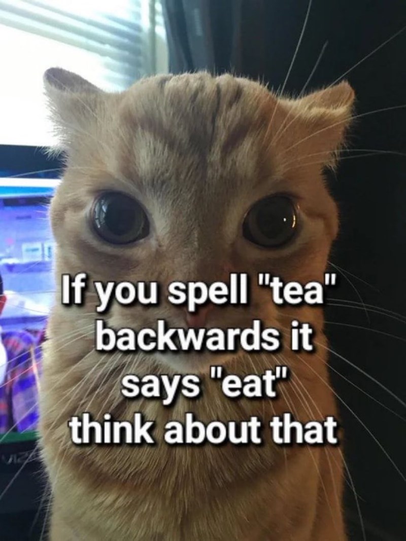 if-spell-tea-backwards-says-eat-think-about