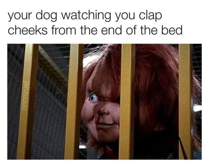 dog-watching-clap-cheeks-end-bed-jahzuuuu