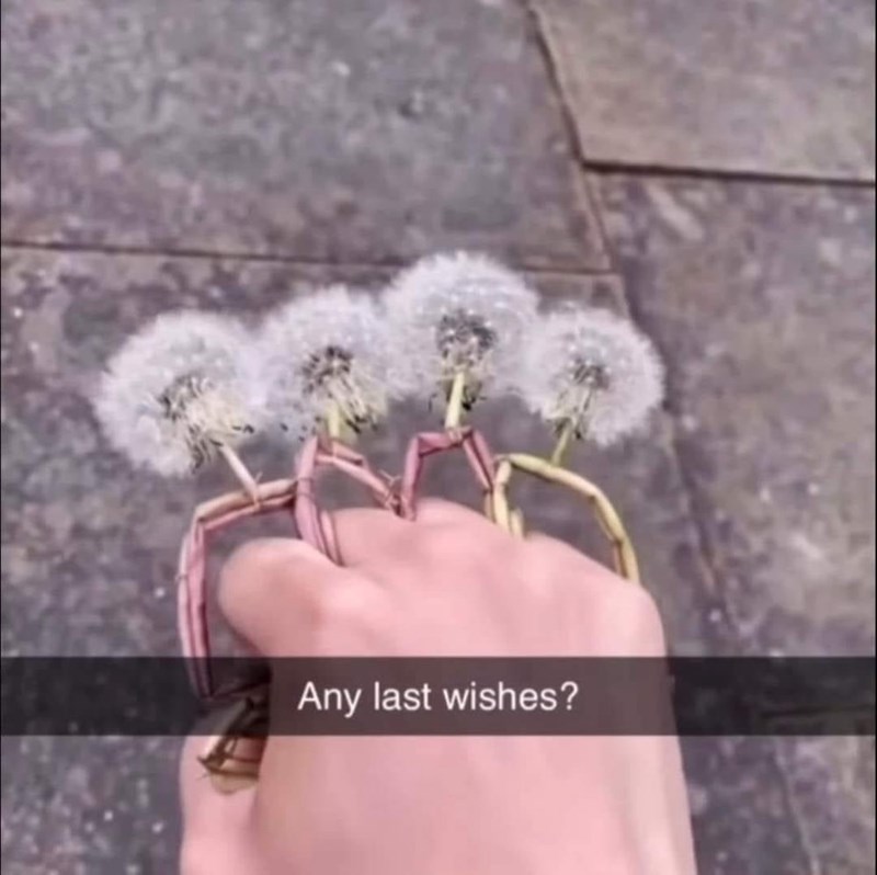 any-last-wishes