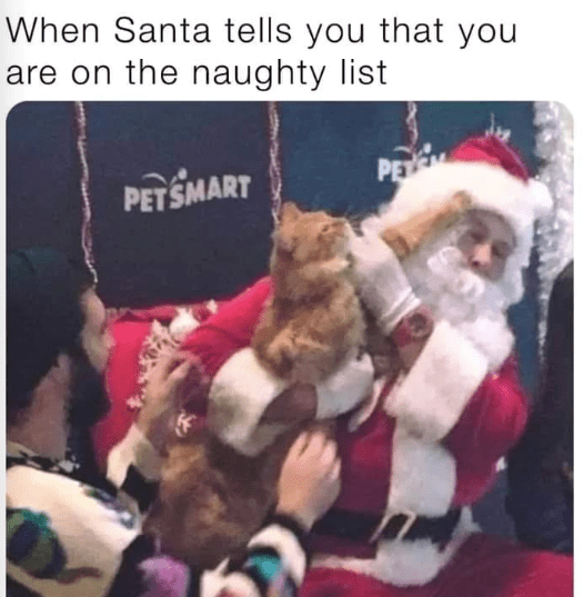 santa-tells-are-on-naughty-list-petsmart-pe