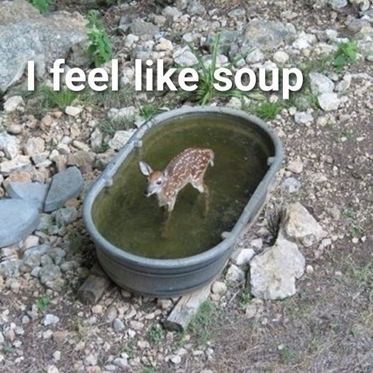 feel-like-soup