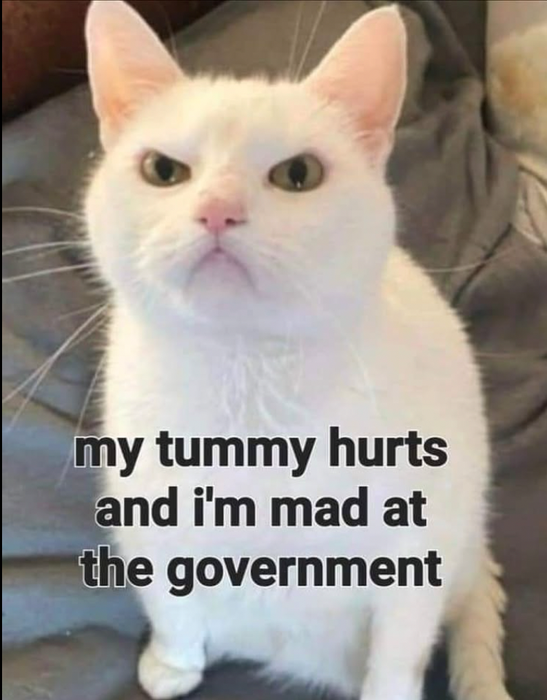 my-tummy-hurts-and-mad-at-government