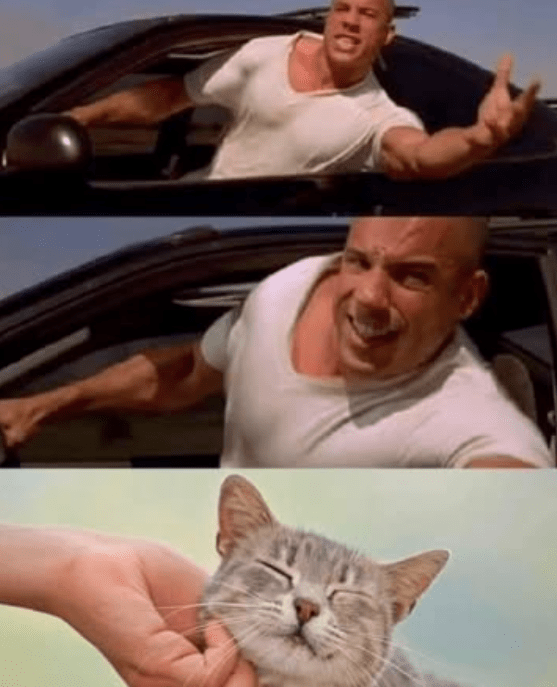 me-with-every-stray-cat-i-find