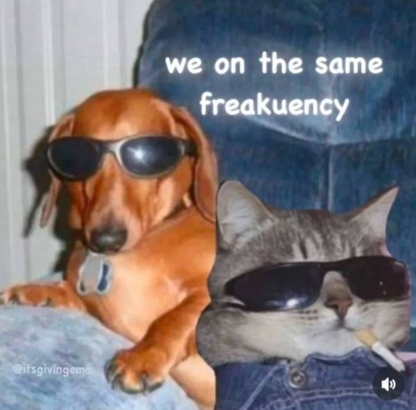 itsgivingema-on-same-freakuency