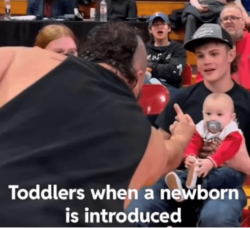 toddlers-newborn-is-introduced