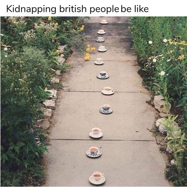 kidnapping-british-people-be-like