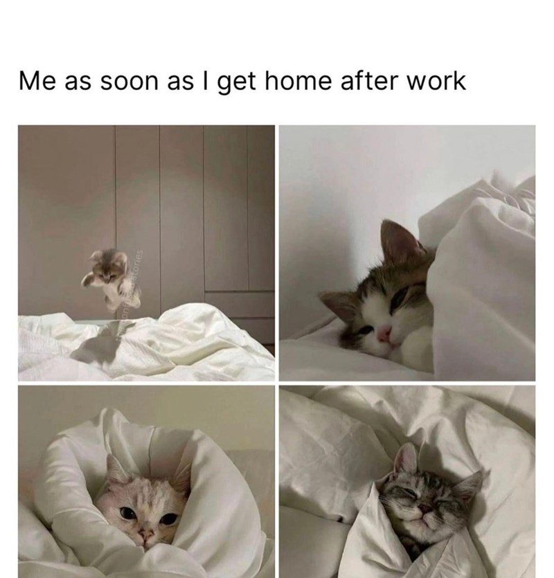 as-soon-as-get-home-after-work