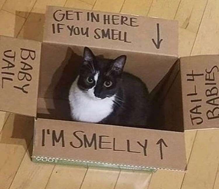 jail-baby-get-here-if-smell-smelly-jail-4-ba