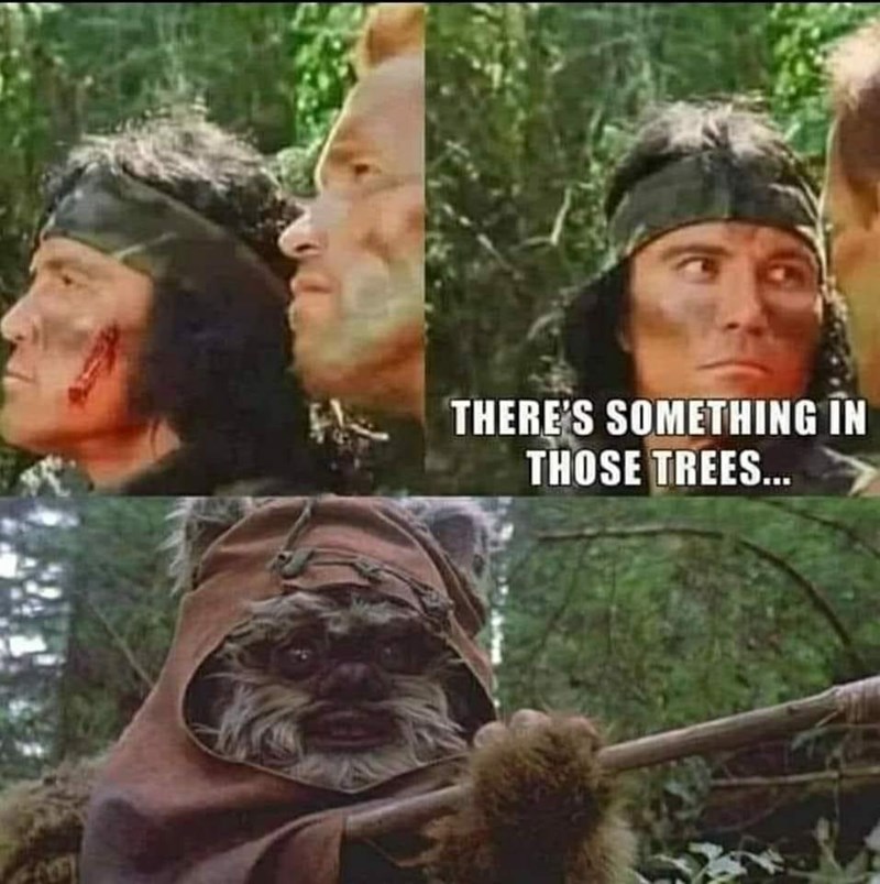 theres-something-those-trees