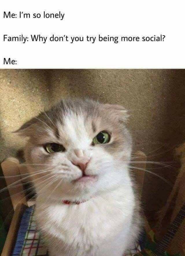 so-lonely-family-why-dont-try-being-more-social