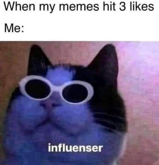 my-memes-hit-3-likes-influenser