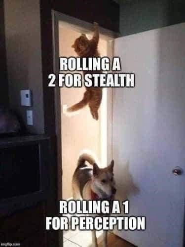 rolling-2-stealth-rolling-1-perception